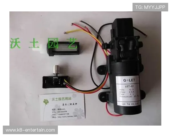 利来ag国际厅多样化游戏体验，满足不同玩家的娱乐需求与挑战欲望